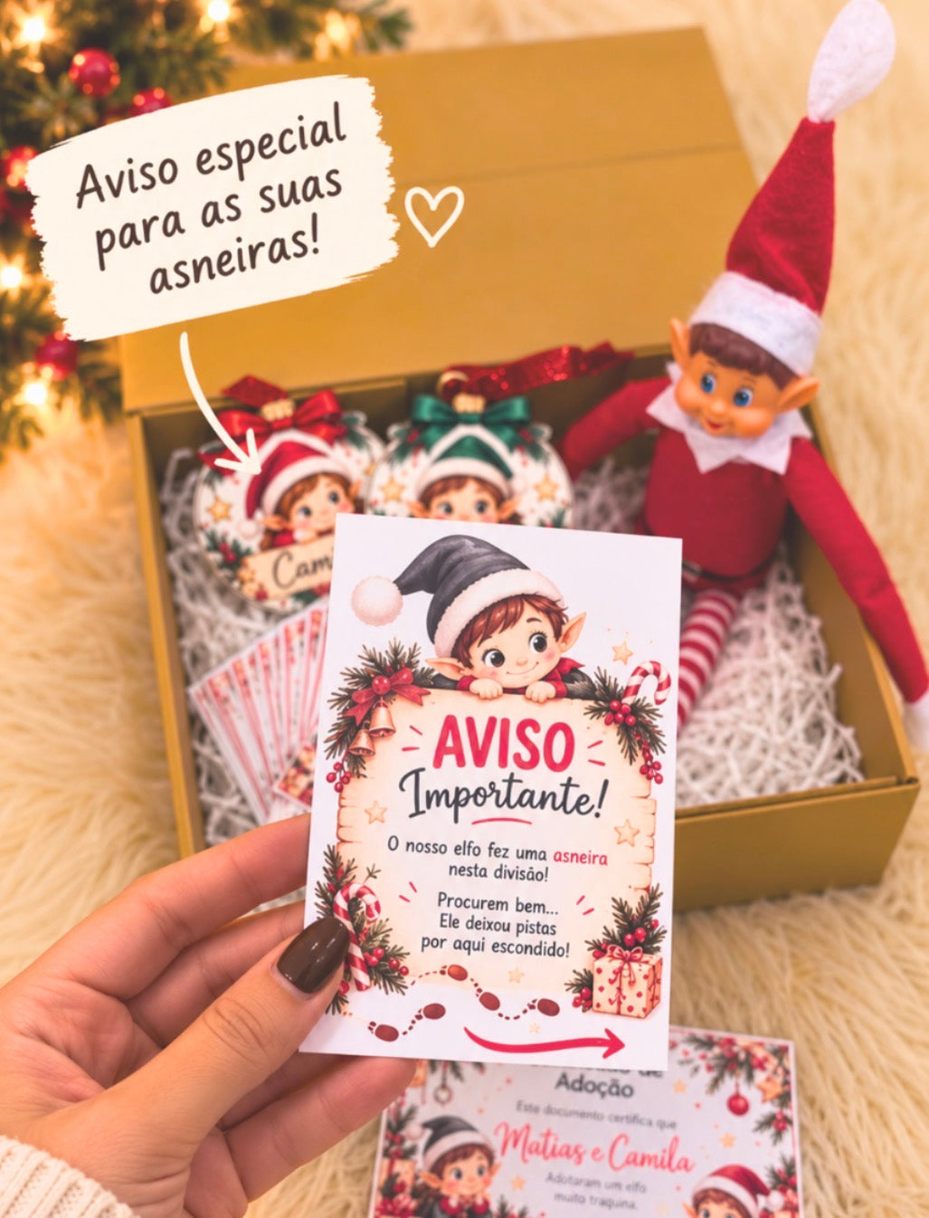 PACK DO ELFO